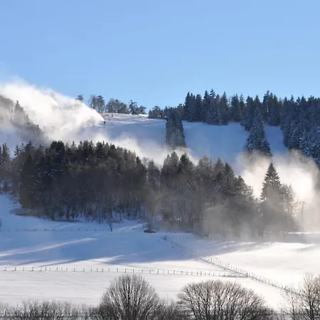 Feine Διαμέρισμα Willingen (Upland)