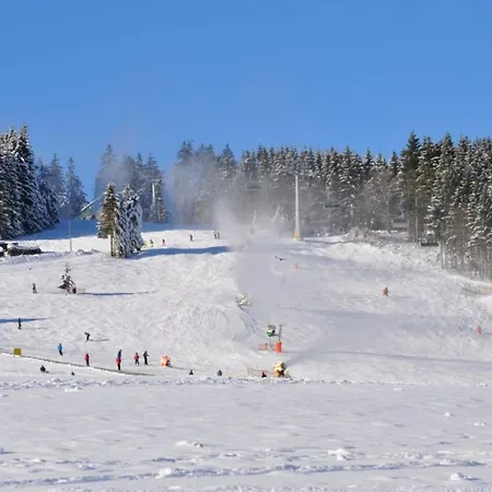 Feine Διαμέρισμα Willingen (Upland)